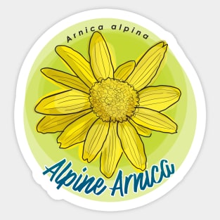 Alpine Arnica Sticker